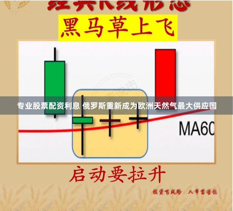 专业股票配资利息 俄罗斯重新成为欧洲天然气最大供应国